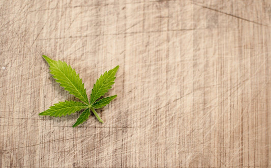 Understanding CBG Oil (Cannabigerol) Benefits and Side Effects