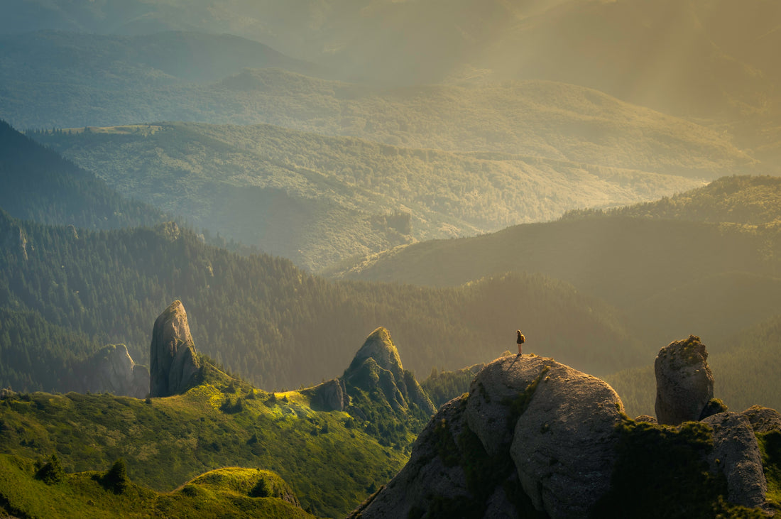 CBD Harmony: Navigating Life's Aches and Pains with Natural Relief