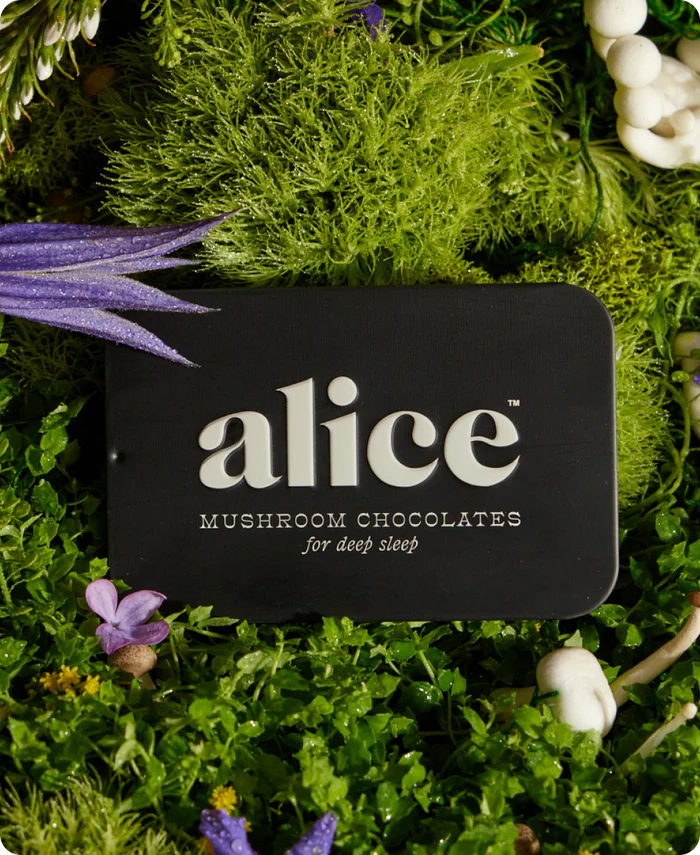 ALICE MUSHROOM CHOCOLATES NIGHTCAP