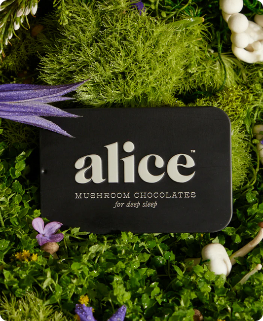 ALICE MUSHROOM CHOCOLATES NIGHTCAP