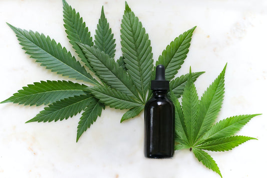 Guide – How To Make CBD Oil at Home