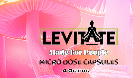 Levitate Micro Dose Mushroom Capsules